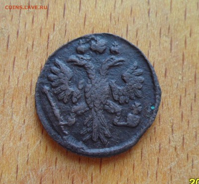 Полушка 1735г. - 016.JPG