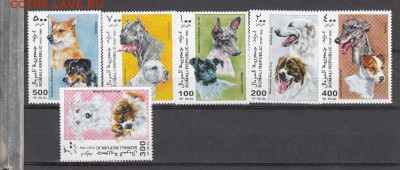 Сомали 1999 собаки - 8