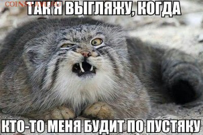 5 копеек 1933года. - IMG_1005.JPG