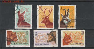 Дикие животные 1961 (Румыния) до 17.04 в 22.00 - IMG_20160415_0005