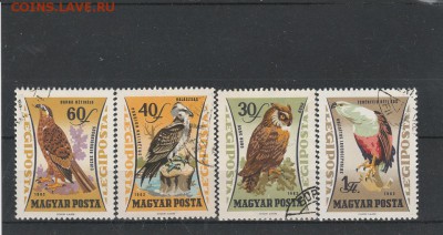 Птицы 1962 (Венгрия) до 17.04 в 22.00 - IMG_20160415_0009