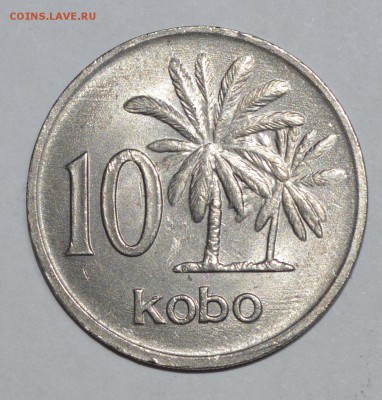 Нигерия 10 кобо 1976г. До 19.04.2016г. - _DSC0519.JPG