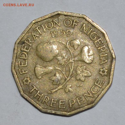 Британская Нигерия 3 пенса 1959г. До 19.04.2016г. - _DSC0558.JPG