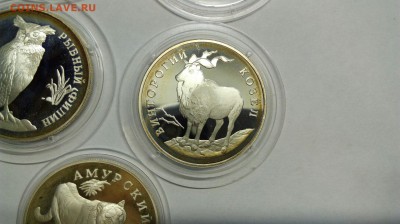 Красная Книга 1993 Филин Тигр Козел до 18.04 с 200р. - yhoQ1pGKlcU