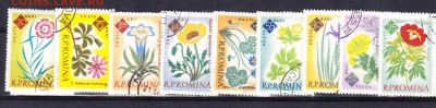 Румыния 1961 цветы - 12