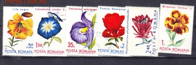 Румыния 1971 цветы - 13