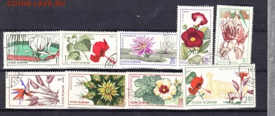 Румыния 1965 цветы - 15