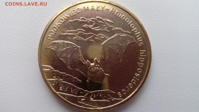 ПОЛЬША 2 злотых 2010 Подковонос (aUNC) до 19.04.16 22:30 - IMG_20160416_161651