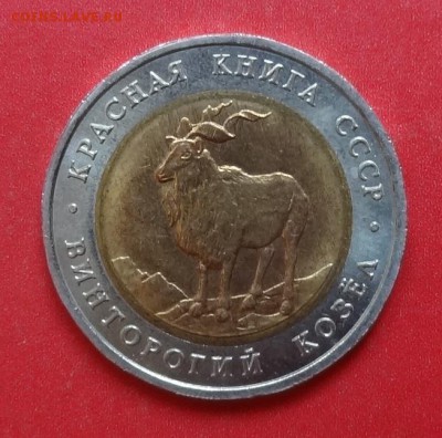 СССР 1991 5 руб Красная книга Винт козел до 17.04.2016 22-00 - DSC09716.JPG