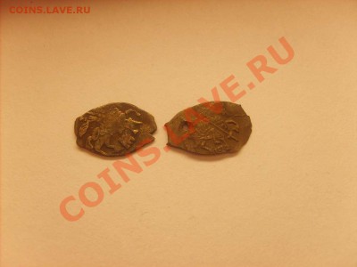 Прошу определить и оценить чешуйки. - S5000001_thumb