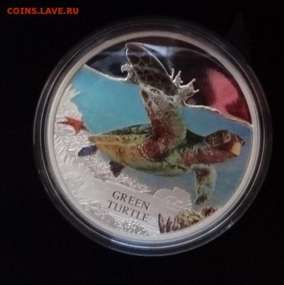 Тувалу 2014 Зеленая черепаха серебро до 17.04.2016 22-00 - DSC07046.JPG