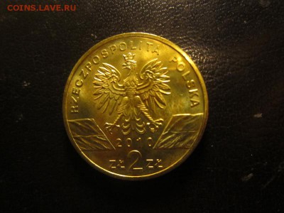 Польша - 2zł - Животный мир: Малый подковонос - IMG_0052