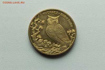 Польша 2 злотых 2005 Животный мир: Филин  22.04_22:00 - IMG_2726.JPG