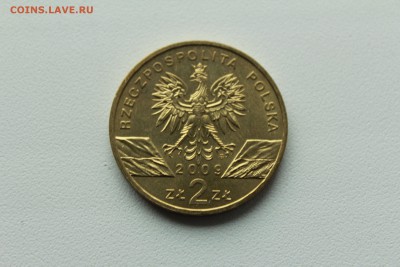 Польша 2 злотых 2009 Зелёная ящерица 22.04_22:00 - IMG_2731.JPG
