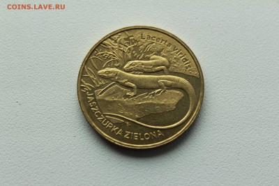 Польша 2 злотых 2009 Зелёная ящерица 22.04_22:00 - IMG_2730.JPG