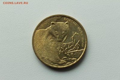 Польша 2 злотых 2011 Животный мир: Барсук  22.04_22:00 - IMG_2736.JPG