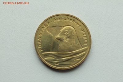 Польша 2 злотых 2007  Длинномордый тюлень 22.04_22:00 - IMG_2740.JPG