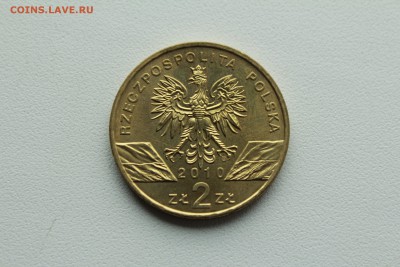 Польша 2 злотых 2010 Малый подковонос 22.04_22:00 - IMG_2743.JPG