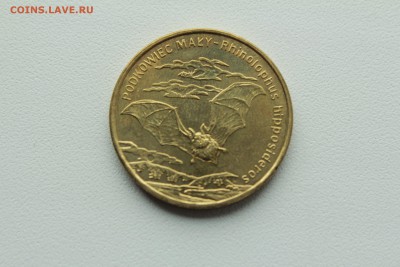 Польша 2 злотых 2010 Малый подковонос 22.04_22:00 - IMG_2742.JPG
