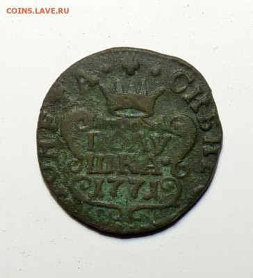 1771 полушка к.м. сибирка. до 19.04 - P1130751.JPG