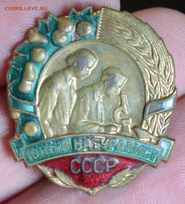 знак Юный натуралист СССР тяж эмаль ММД до 21.04 - IMG_8435.JPG