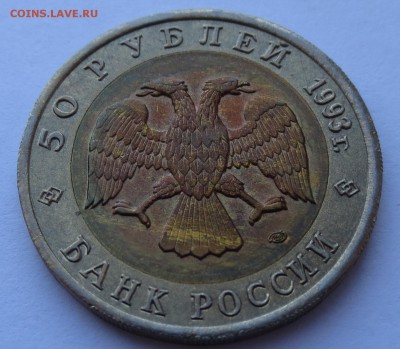 50 руб. 1993г.  К.К Турк-й зублефар с 200 руб. до 19-04-2016 - IMG_0598.JPG