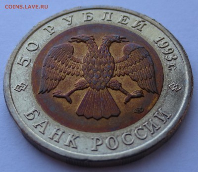 50 рублей Гималайский медведь с 200 руб! до 19.04.16 22:00 - IMG_0586.JPG