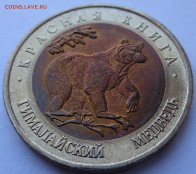 50 рублей Гималайский медведь с 200 руб! до 19.04.16 22:00 - IMG_0585.JPG