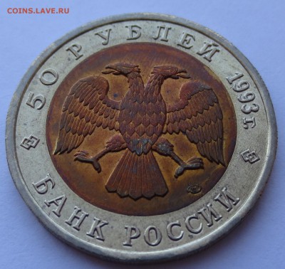 50 руб. 1993г.  Дальневосточный аист с 200р. до 19-04-2016 г - IMG_0606.JPG