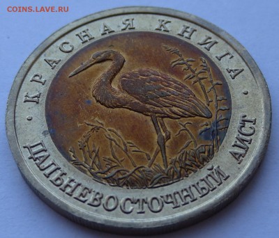 50 руб. 1993г.  Дальневосточный аист с 200р. до 19-04-2016 г - IMG_0604.JPG