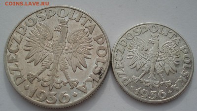 2 и 5 злотых 1936 Польша  Кораблики 22:00 21.04.2016 - DSC06594.JPG