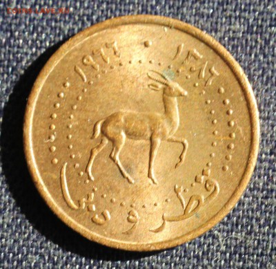 С 1 руб. КАТАР и ДЮБАЙ 1 дирхем 1966г. ГАЗЕЛЬ   до 24.04 - IMG_1474.JPG