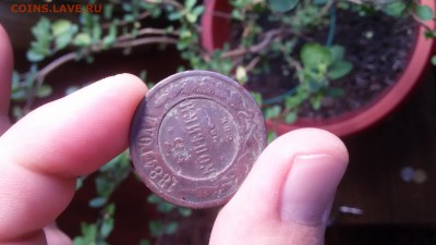 3 копейки 1884г - 20160419_172932