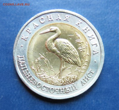 Красная книга 1993 Дальков Аист до 25.04.16 - аист (1).JPG