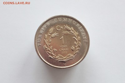 Турция 1 лира Кошка UNC 2010 до 21-00  23.04.2016 - IMG_1685.JPG