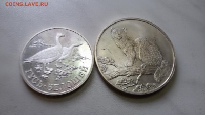 2 юб. рубля 1995,1998 г. серебро. Оценка - 20160420_095500