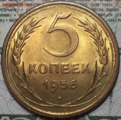5 копеек 1956г. UNC, НЕ МЫТАЯ До 25.04.2016г. 22.15 по мск. - 5k56.JPG
