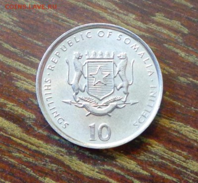 СОМАЛИ - ВЕРБЛЮД ФАО до 26.04, 22.00 - Сомали ФАО верблюд_1