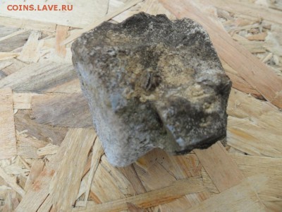 предмет на определение - окаменелость - SAM_3279.JPG