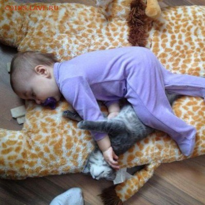 юмор - 1362871177_morning_picdump_320_640_46