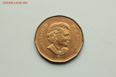 Канада 1 доллар 2008 Олимпиада в Пекине 26.04_22:00 - IMG_2915.JPG
