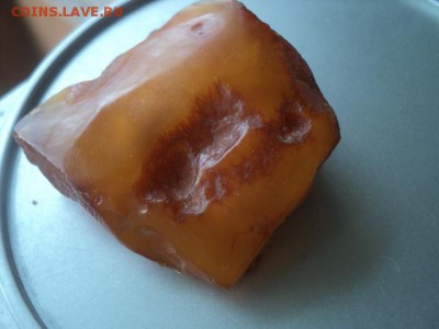 Куплю Бусы Янтарь - DSC01263[1].JPG