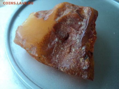Куплю Бусы Янтарь - DSC01264[2].JPG