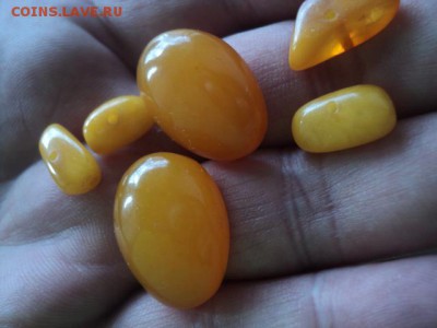 Куплю Бусы Янтарь - DSC01274[1].JPG