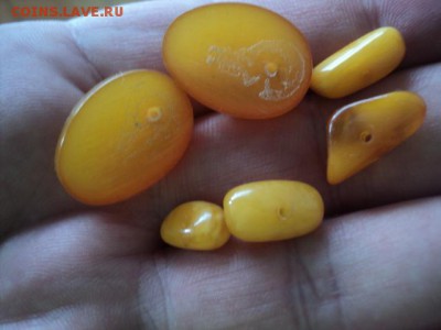 Куплю Бусы Янтарь - DSC01275[1].JPG