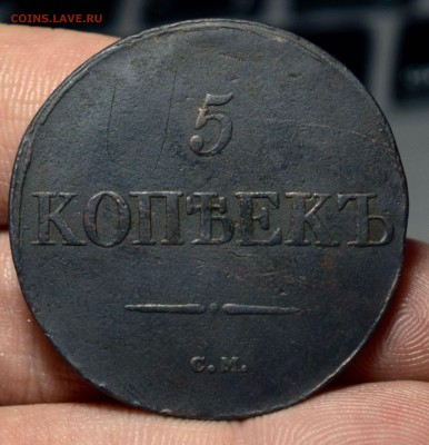 5  копеек Масон 1831 СМ с 200р - _DSC7131