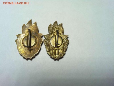 2 значка "Всегда готов" 1 и 3 степени, до 24.04.16г. - IMG_20160420_202259_thumb