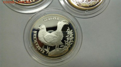 Красная книга 1995 Афалина Аист Тетерев до 25.04 с 200р - kTVnSBisIOw