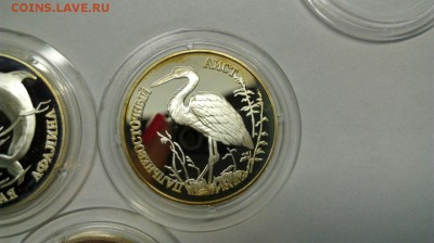 Красная книга 1995 Афалина Аист Тетерев до 25.04 с 200р - 9_7PMzkPzK8