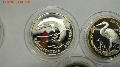 Красная книга 1995 Афалина Аист Тетерев до 25.04 с 200р - RkYfKO23e2M